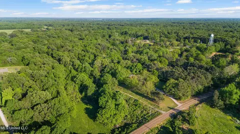 View/Area - 3196 N Fogg Rd, Nesbit, MS 38651 photo 3 of 6