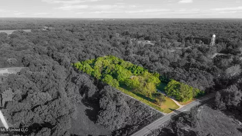 View/Area - 3196 N Fogg Rd, Nesbit, MS 38651 photo 5 of 6
