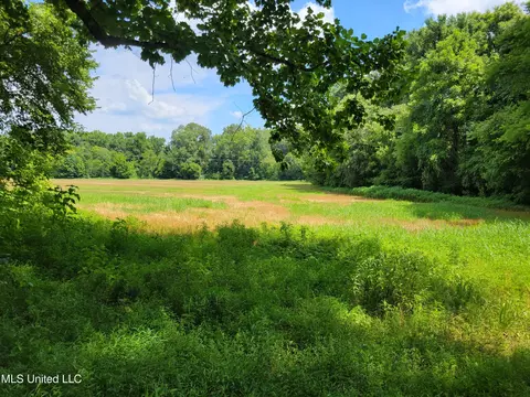 0 Hogan Rd, Mount Pleasant, MS 38635 photo 3