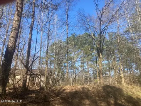 0 Hogan Rd, Mount Pleasant, MS 38635