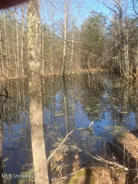 0 Hogan Rd, Mount Pleasant, MS 38635 photo 2