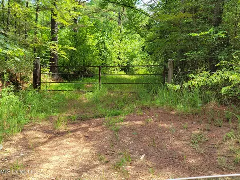0 Hogan Rd, Mount Pleasant, MS 38635 photo 5