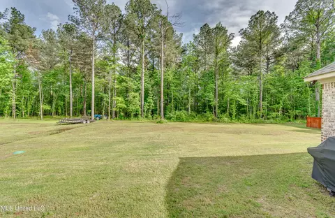 Exterior - 1185 Sanctuary Dr, Brandon, MS 39042 photo 10 of 10