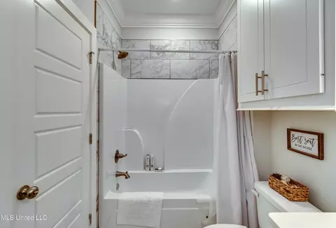 Bath - 1185 Sanctuary Dr, Brandon, MS 39042 photo 6 of 8