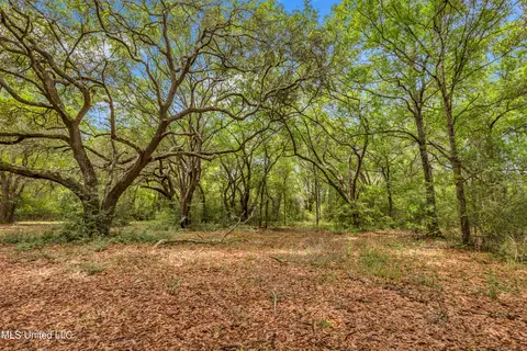 11300 Max Bryant Rd, Moss Point, MS 39562 photo 22