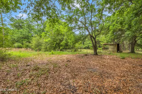 11300 Max Bryant Rd, Moss Point, MS 39562 photo 15