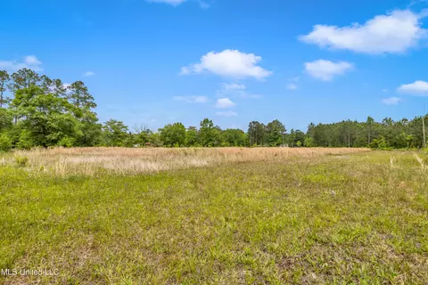 11300 Max Bryant Rd, Moss Point, MS 39562 photo 18