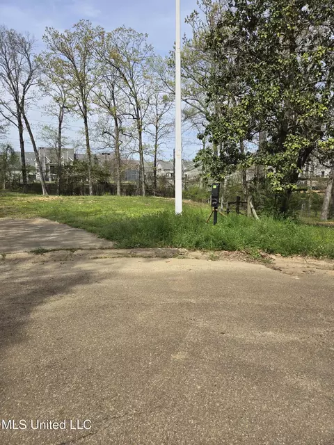 910 Ash Ct, Ridgeland, MS 39157 photo 3