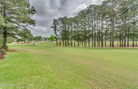 Other - 3083 E Fairway Dr, Brandon, MS 39047 photo 5 of 19