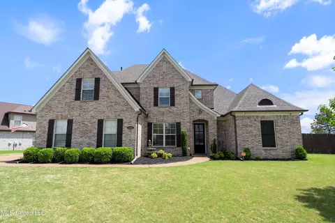 3668 Beech Tree Cv, Southaven, MS 38672