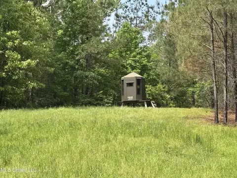 2048 Ashley Rd, Hazlehurst, MS 39083