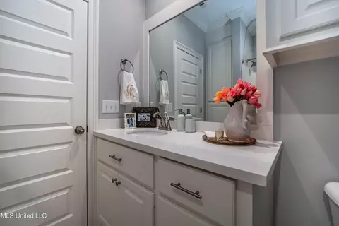 702 Autumn Hl, Madison, MS 39110 photo 24