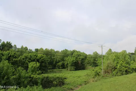 8311 Highway 302 Rd, Walls, MS 38680