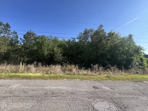 19719 Brighton Dr, Saucier, MS 39574 photo 3
