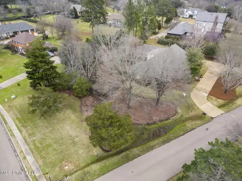 View/Area - 116 Hampton Way, Madison, MS 39110 photo 2 of 5