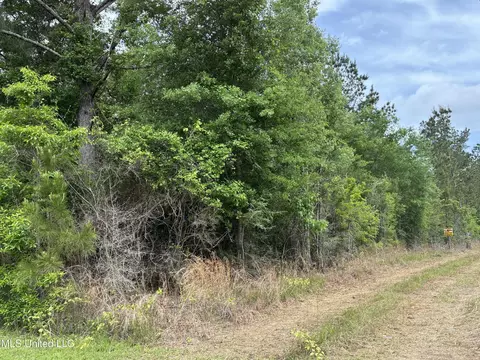 lot2 Wortham Rd, Saucier, MS 39574 photo 3