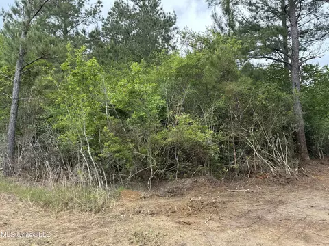 lot2 Wortham Rd, Saucier, MS 39574 photo 4