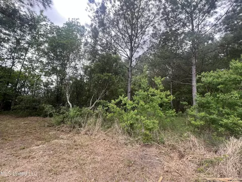 Other - 6306 Tanner Williams Rd, Lucedale, MS 39452 photo 8 of 9