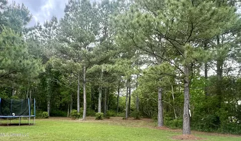 Exterior - 6306 Tanner Williams Rd, Lucedale, MS 39452 photo 9 of 11