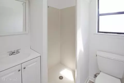 Bath - 54 Willowbrook Ln, Brandon, MS 39042 photo 1 of 3