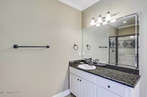 Bath - 875 Westerly Dr, Brandon, MS 39042 photo 3 of 7