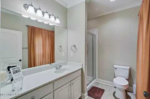 Bath - 875 Westerly Dr, Brandon, MS 39042 photo 5 of 7
