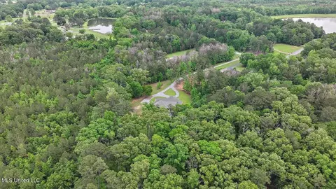 View/Area - 875 Westerly Dr, Brandon, MS 39042 photo 9 of 17