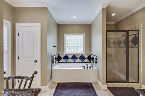 Bath - 875 Westerly Dr, Brandon, MS 39042 photo 2 of 7