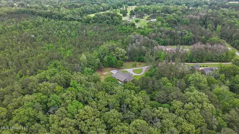 View/Area - 875 Westerly Dr, Brandon, MS 39042 photo 10 of 17