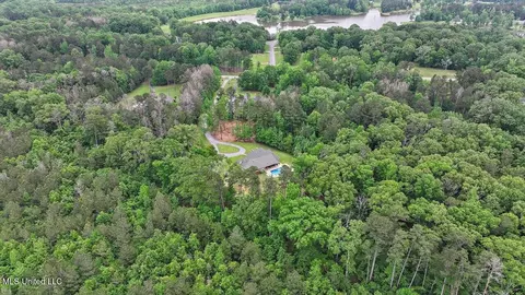 View/Area - 875 Westerly Dr, Brandon, MS 39042 photo 8 of 17