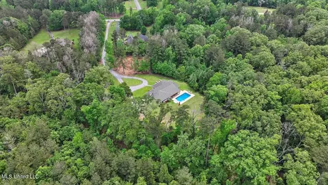 View/Area - 875 Westerly Dr, Brandon, MS 39042 photo 16 of 17