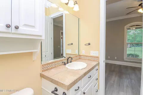 Bath - 104 Duffey Dr, Florence, MS 39073 photo 5 of 29