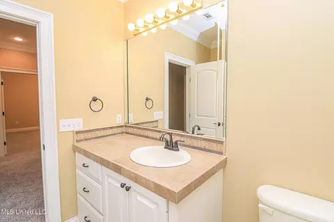 Bath - 104 Duffey Dr, Florence, MS 39073 photo 16 of 29