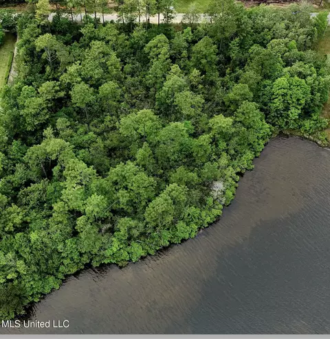 W Riverline Drive, Saucier, MS 39574 photo 3
