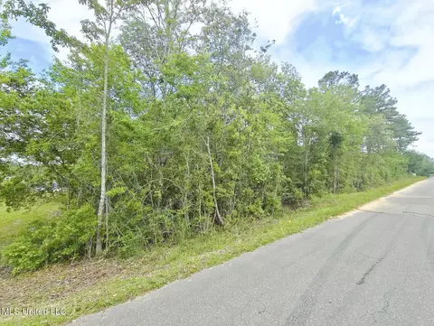 W Riverline Drive, Saucier, MS 39574 photo 2