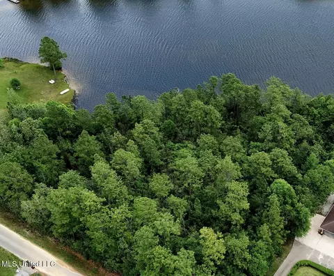 W Riverline Drive, Saucier, MS 39574 photo 4