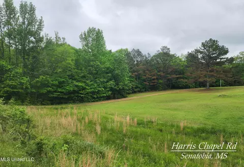 Harris Chapel Road, Senatobia, MS 38668
