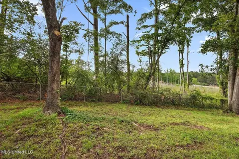Exterior - 214 Dublin Ct, Brandon, MS 39047 photo 6 of 6