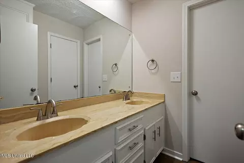 Bath - 214 Dublin Ct, Brandon, MS 39047 photo 2 of 2