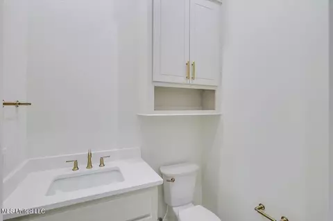 226 Wrights Mill Dr, Madison, MS 39110 photo 22