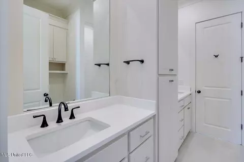 226 Wrights Mill Dr, Madison, MS 39110 photo 30