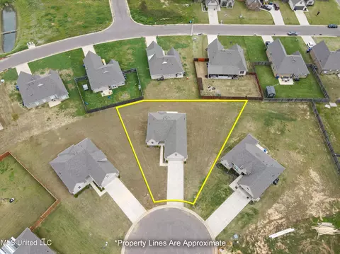 View/Area - 6501 Carmel Pt, Walls, MS 38680 photo 1 of 3