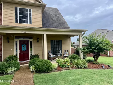 Exterior - 7231 Wind Dr, Olive Branch, MS 38654 photo 14 of 22