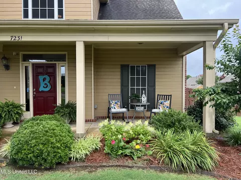 Exterior - 7231 Wind Dr, Olive Branch, MS 38654 photo 15 of 22