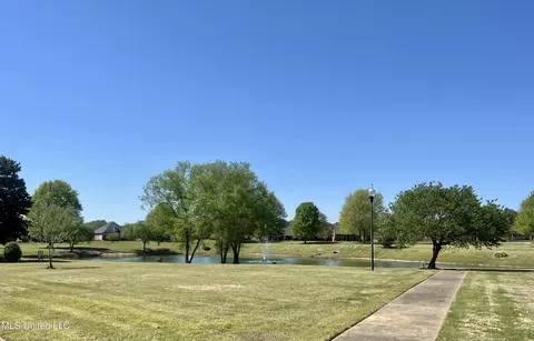 Other - 7231 Wind Dr, Olive Branch, MS 38654 photo 2 of 13