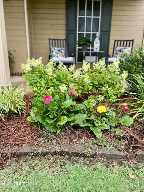 Exterior - 7231 Wind Dr, Olive Branch, MS 38654 photo 16 of 22