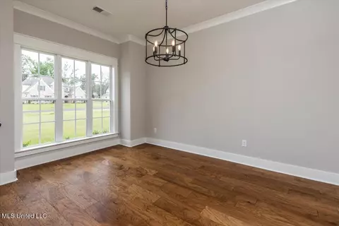 Other - 1748 Baisley Dr, Nesbit, MS 38651 photo 5 of 11