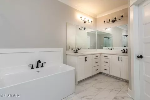 Bath - 1748 Baisley Dr, Nesbit, MS 38651 photo 2 of 4