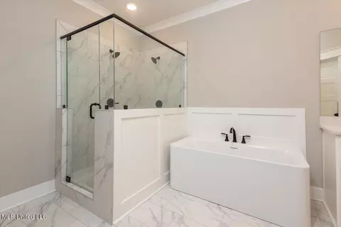 Bath - 1748 Baisley Dr, Nesbit, MS 38651 photo 3 of 4