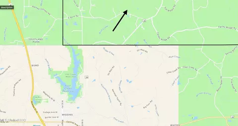 Hickman Rd, Wiggins, MS 39577 photo 11